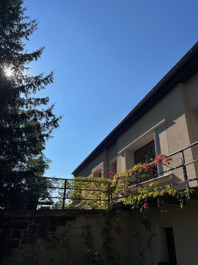 Vila Bellevue Jablonec nad Nysą Zewnętrze zdjęcie